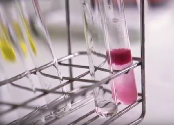 Responsable de Formulación en la Industria Química.